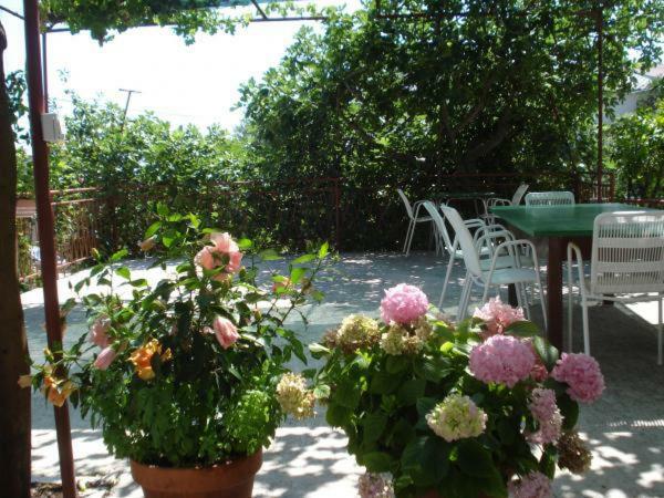 Pavlinovic Jure Apartment Makarska Exterior foto